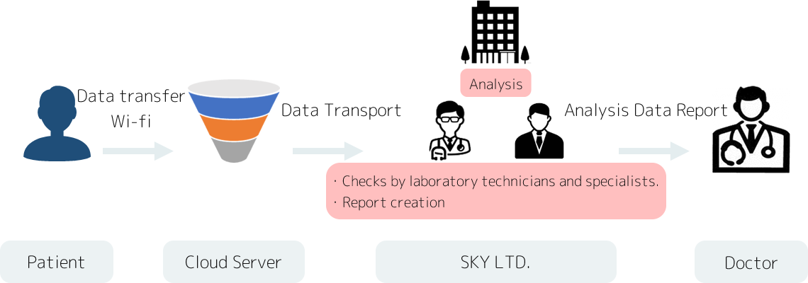 Analytic support service