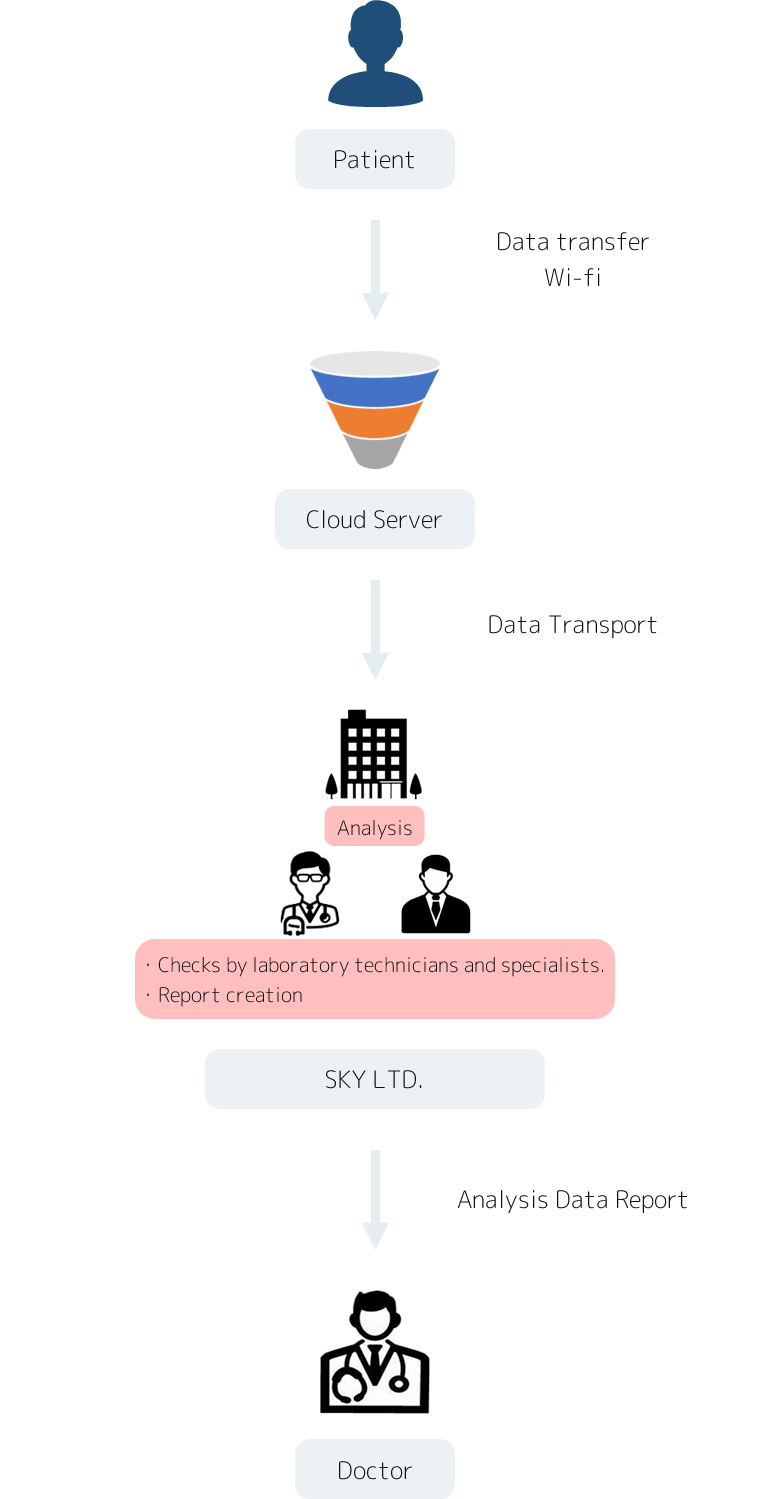 Analytic support service